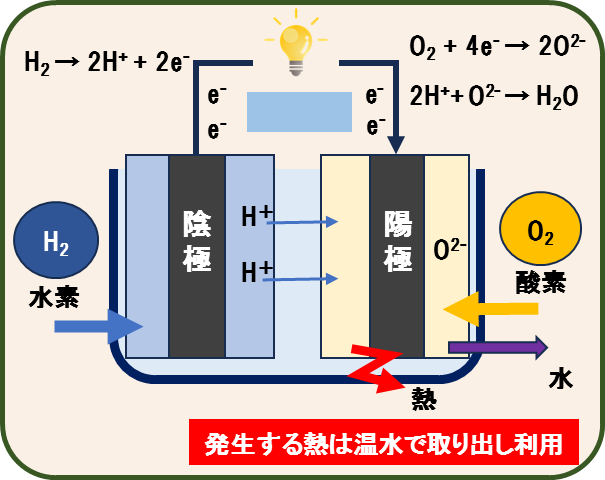 燃料電池