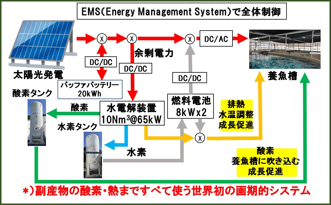 全体のシステム構成（日中）